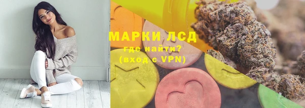 apvp Алексин