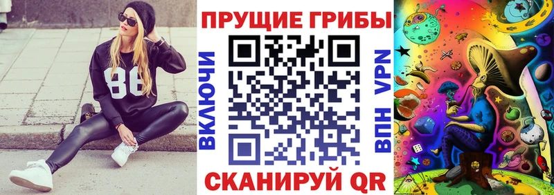 Галлюциногенные грибы мицелий  Пучеж 